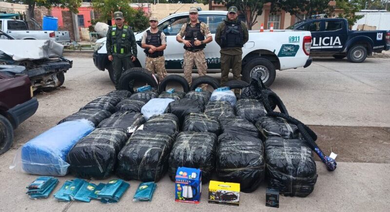 La Policía de Mendoza secuestró casi media tonelada de hojas de coca en Lavalle