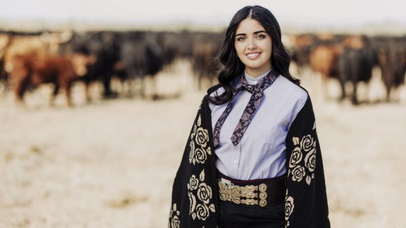 Abril se prepara para la Fiesta Nacional de la Ganadería
