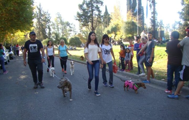 “Para un perro, detenerse a olfatear durante el paseo no es perder el tiempo”