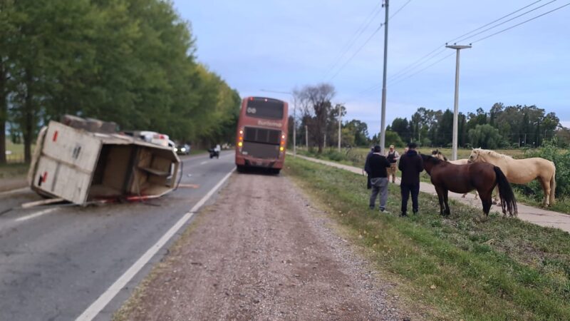 Volcó una camioneta con caballos en Las Paredes