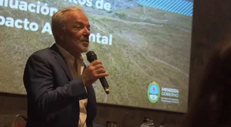 Desastre ambiental en Guaymallén: los argumentos por los que dos fiscales piden que Mingorance sea imputado