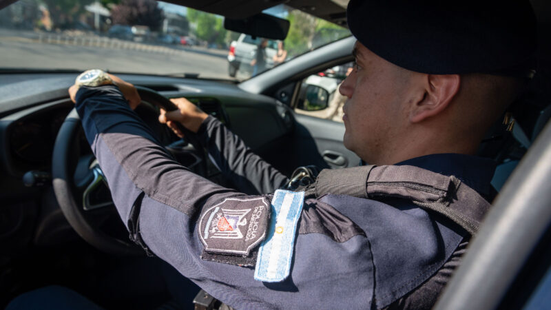 Detienen a seis personas y secuestran 60 kilos de aceitunas