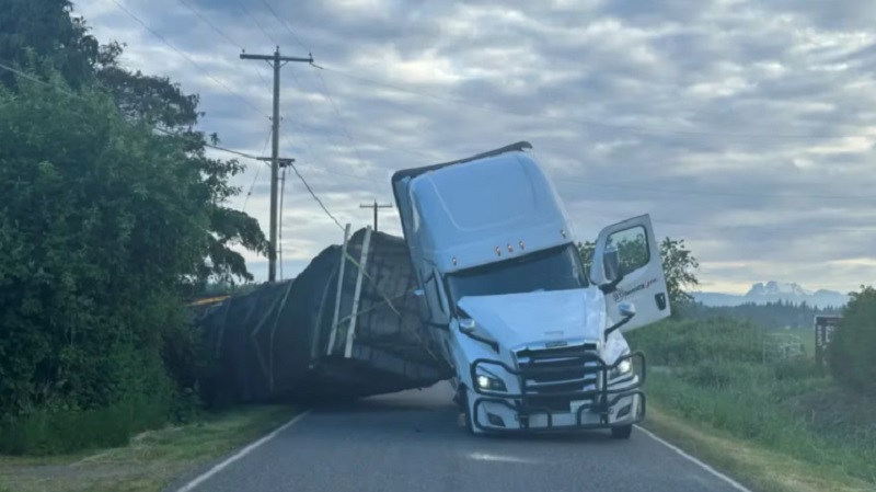 Un camión que transportaba 250 millones de abejas volcó y generó pánico en Washington