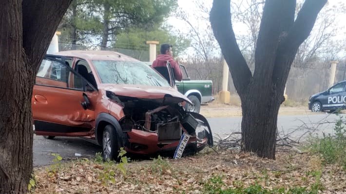Una mujer y un menor lesionados luego de impactar contra un árbol