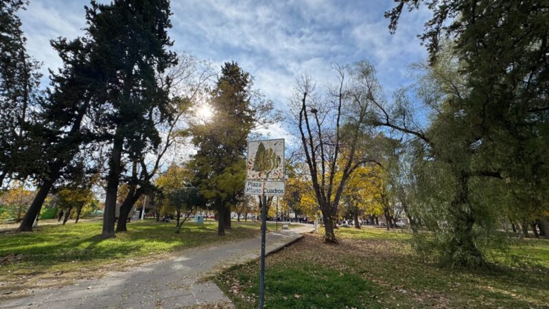 Comenzaron las tareas para remodelar la plaza Hilario Cuadros
