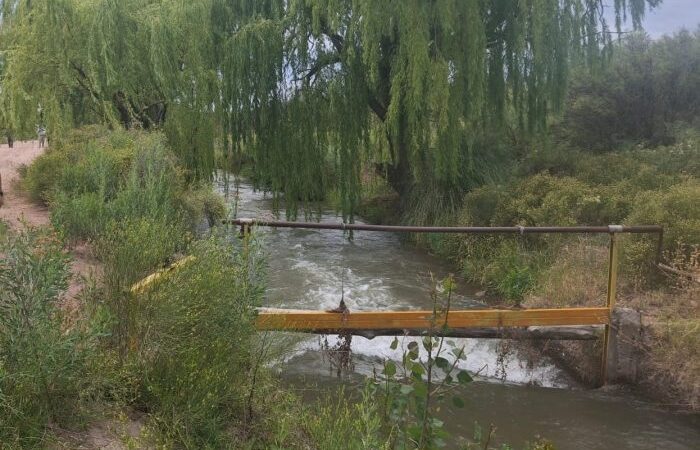 Seis ofertas compiten por una obra clave para el riego en el Sur provincial