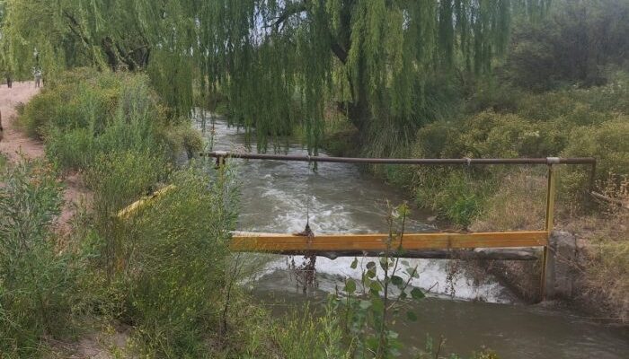 Seis ofertas compiten por una obra clave para el riego en el Sur provincial