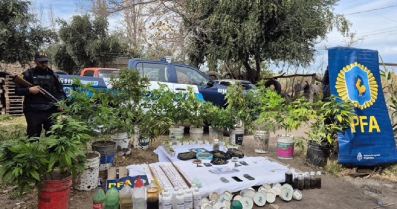 La Policía Federal Argentina secuestró 10 kg de droga en San Rafael