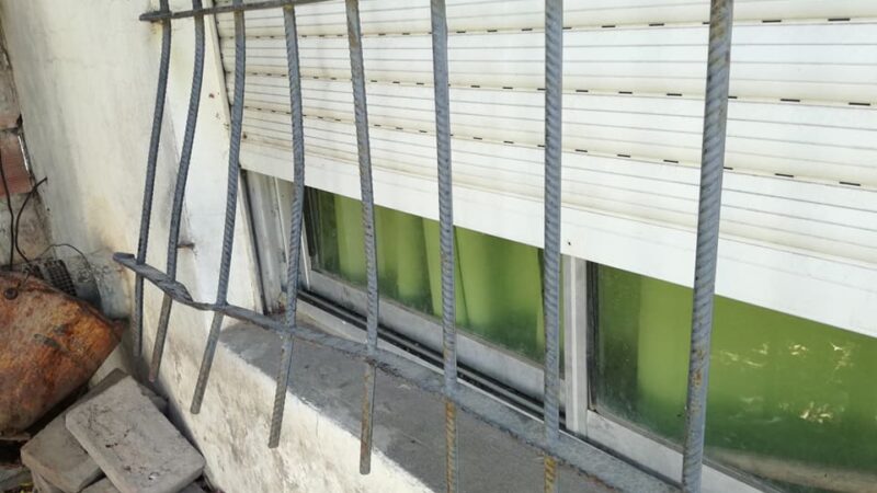 No les alcanzó con robarles mucho dinero, se llevaron hasta el perro