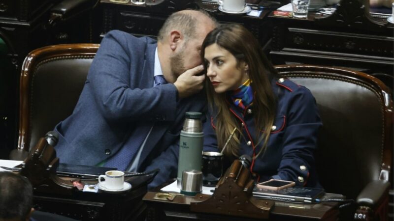 Se rompió el bloque libertario en medio de la sesión y cuatro diputados arman uno aparte