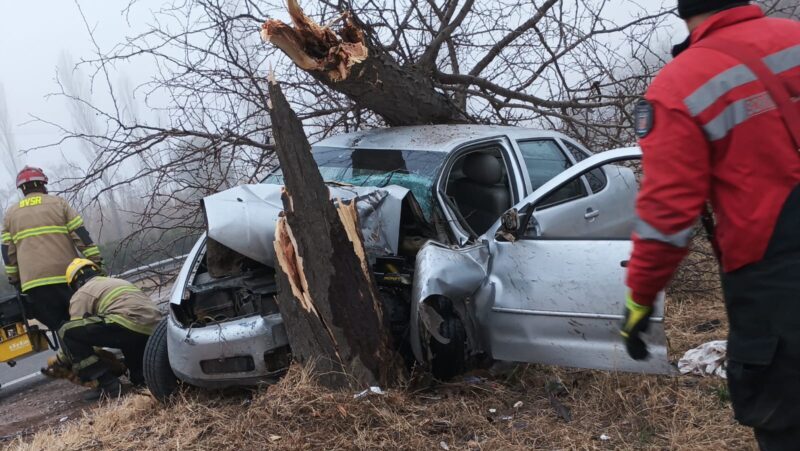 Violento choque contra un árbol