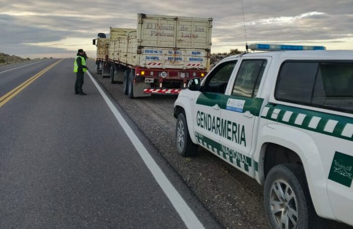 La Policía Ambiental Minera ordenó el cese de actividades de una mina en San Rafael que operaba con una planta de beneficio en Maipú