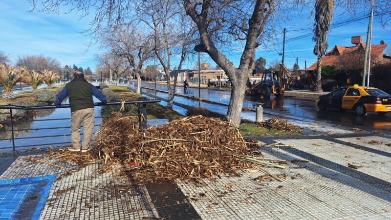 El municipio colabora con Irrigación para desobstruir el desborde del canal Cerrito