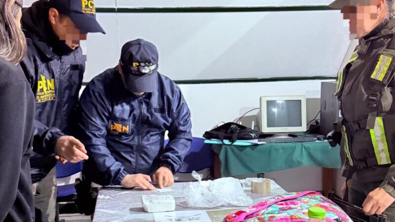 Una mujer fue aprehendida con 762 gramos de cocaína