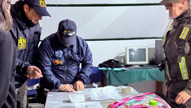 Una mujer fue aprehendida con 762 gramos de cocaína
