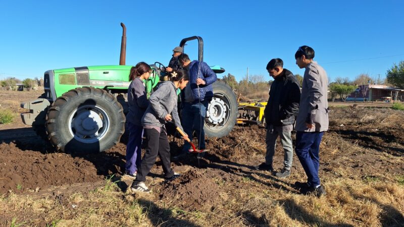 El municipio sigue con su plan de forestación en distritos
