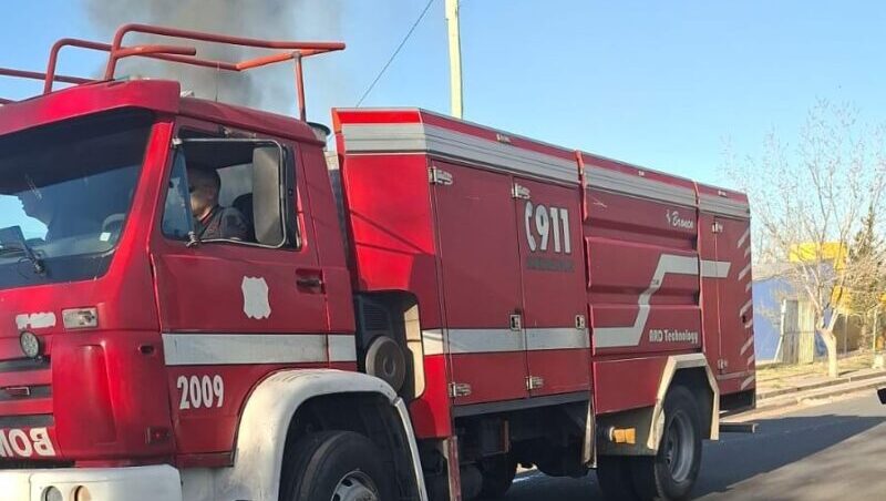 Incendio en una vivienda afectó al corral y murieron 70 cerdos