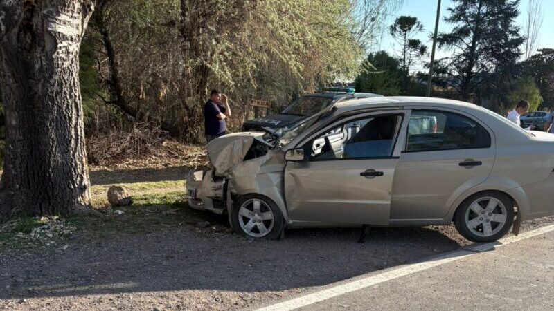 Choque frontal contra un árbol deja dos heridos