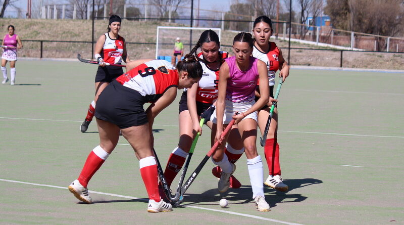 Comienza una nueva fecha del Hockey Acción