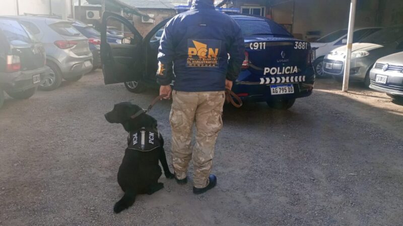 Desbaratan banda que vendía drogas con base en una playa de estacionamiento en San Rafael