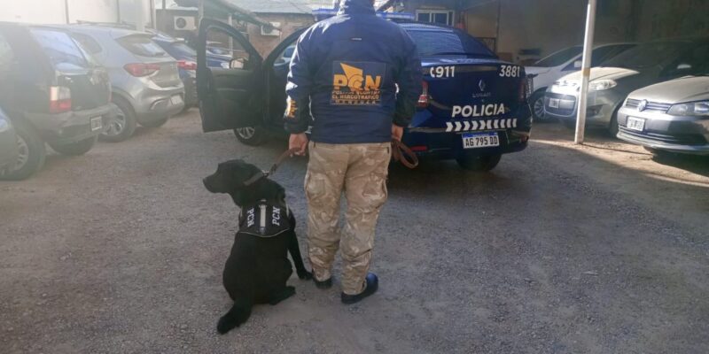 Desbaratan banda que vendía drogas con base en una playa de estacionamiento en San Rafael