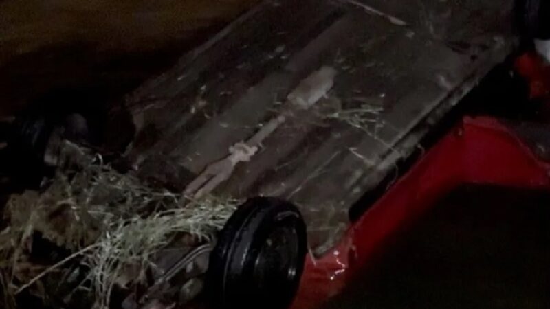Drámatico rescate de un hombre que volcó y cayó a un canal