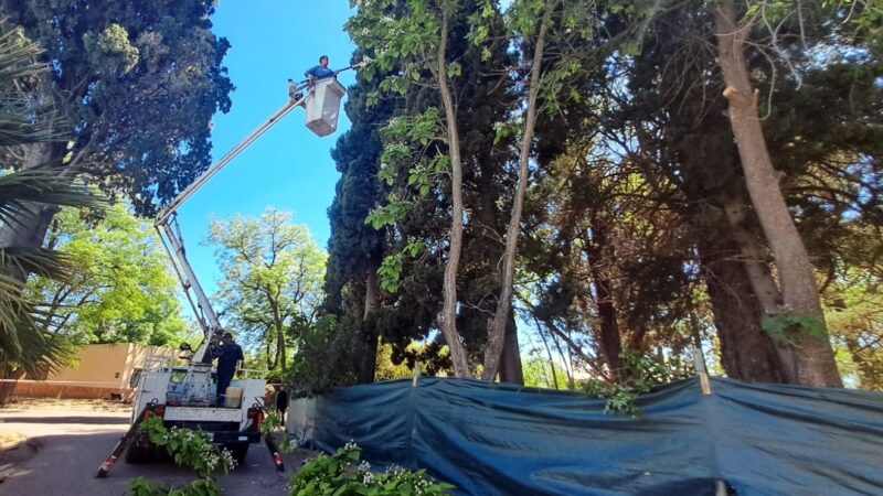 Trabajos para renovar la plaza Ramón Ruiz de Atuel Norte