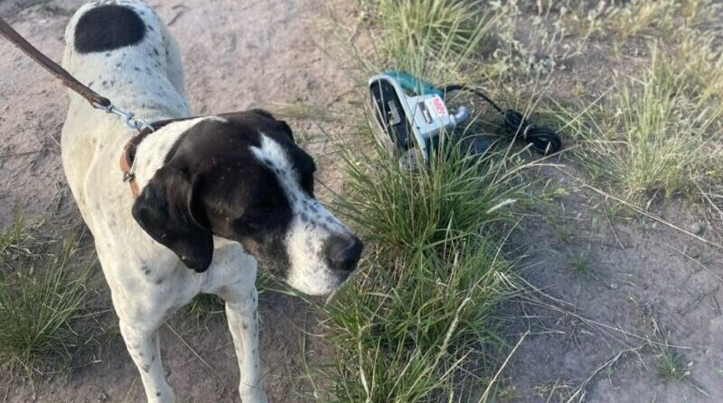 Robo frustrado en San Rafael: Noll guio a la Policía hasta los ladrones y recuperó todas las herramientas