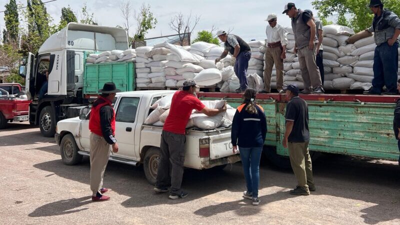 El municipio aporta forraje para apoyar a los productores del secano