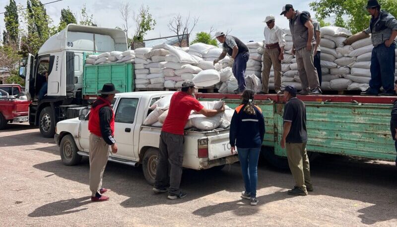 El municipio aporta forraje para apoyar a los productores del secano