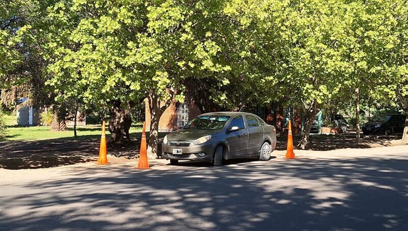 Licencias de conducir: circuito para principiantes en Parque Perón