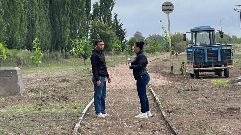 Cuadro Benegas: nivelación y forestación en el proyecto del Parque Lineal
