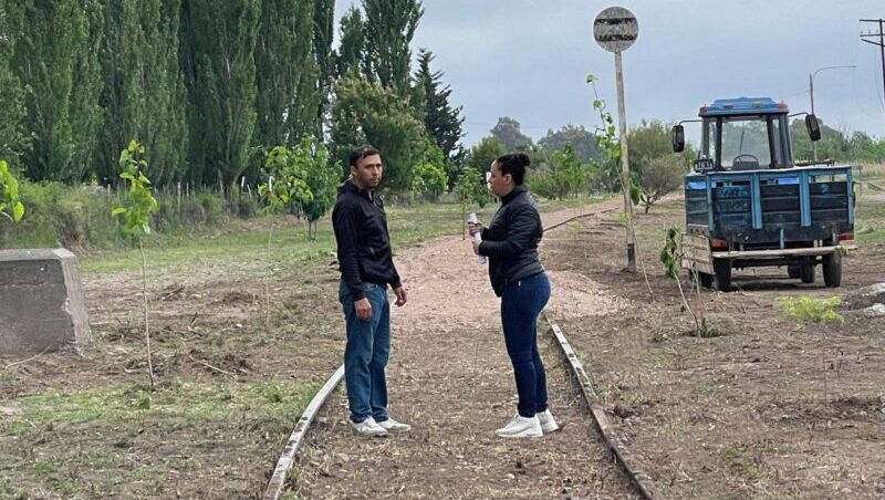 Cuadro Benegas: nivelación y forestación en el proyecto del Parque Lineal