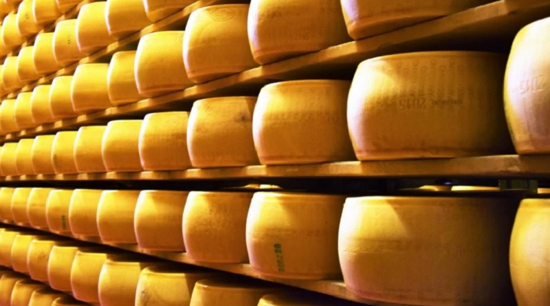 Robaron una horma de queso