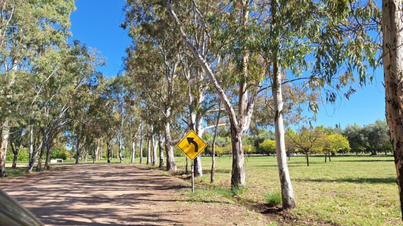 El municipio y escuelas de manejo firmaron un acuerdo para utilizar el circuito de Parque Norte