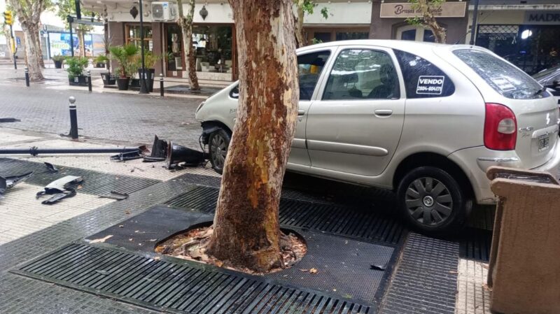 Conductor deberá pagar graves daños que provocó en el Paseo Pellegrini