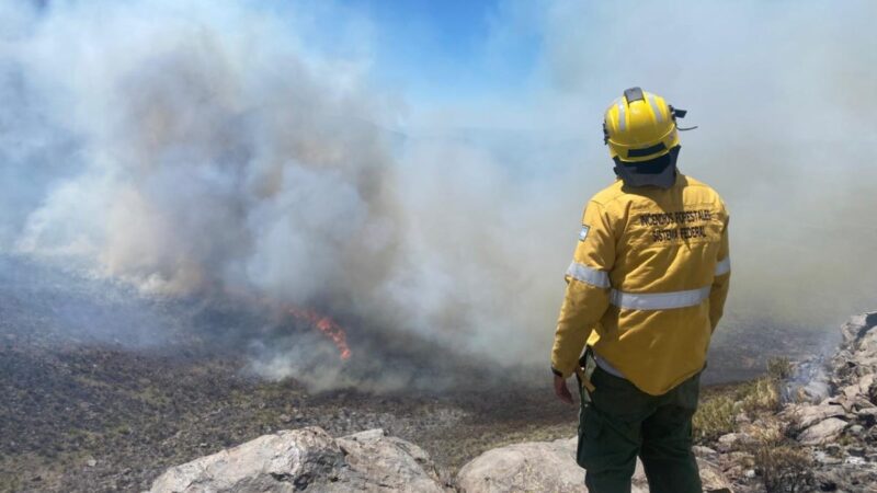 Lograron contener el incendio en la zona de Cerro Nevado, Monte Comán