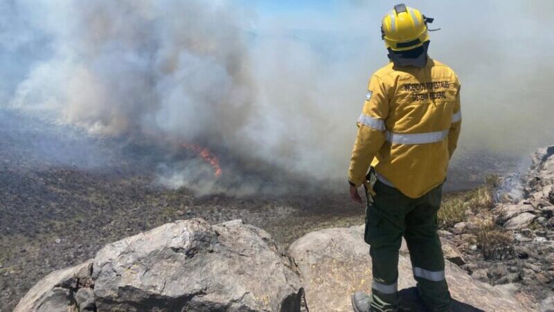 Lograron contener el incendio en la zona de Cerro Nevado, Monte Comán