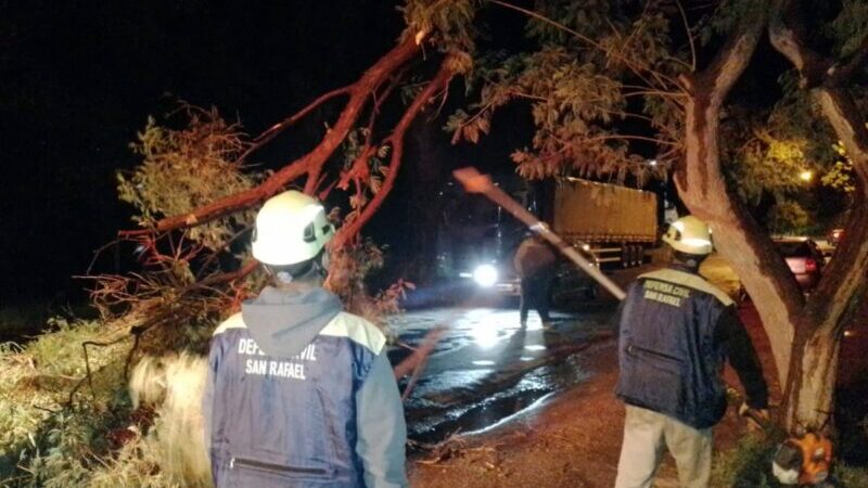 Equipos municipales trabajaron durante la noche para mitigar los daños causados por la tormenta