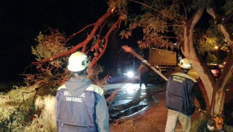 Equipos municipales trabajaron durante la noche para mitigar los daños causados por la tormenta