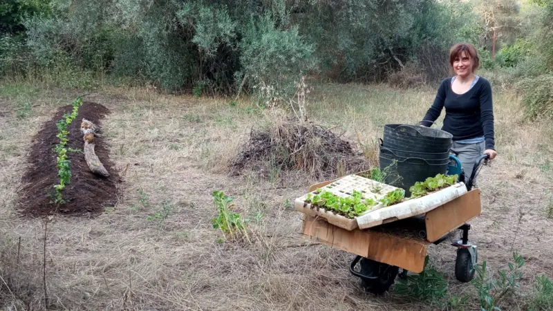 «Neorrurales»: los jóvenes españoles que se fueron de las grandes ciudades al campo, escapando de los altos precios de la vivienda