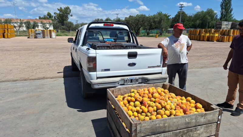 Productores sanrafaelinos: «Sin la pulpera no tendríamos dónde llevar nuestra fruta»