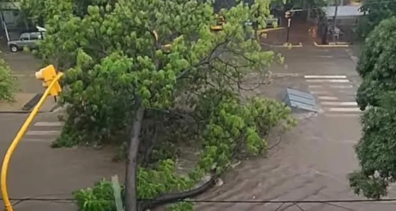 Caos en Mendoza por una histórica tormenta: muchísimas calles inundadas, acequias desbordadas y árboles caídos