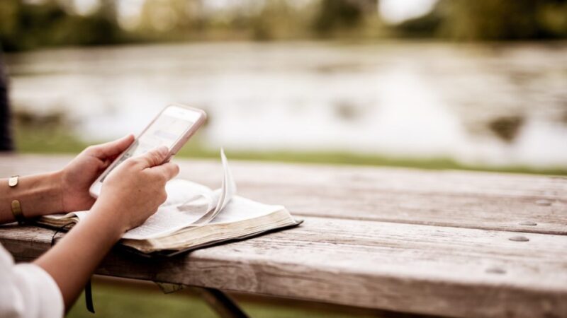 Verano, lectura y pelis: siete libros recomendados por la Dirección General de Escuelas