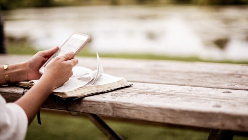 Verano, lectura y pelis: siete libros recomendados por la Dirección General de Escuelas