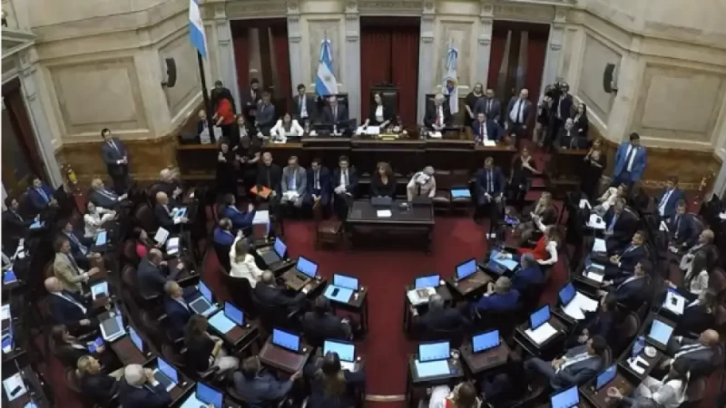 El Senado aprobó el Régimen Penal Juvenil y convirtió en ley la Reforma Laboral