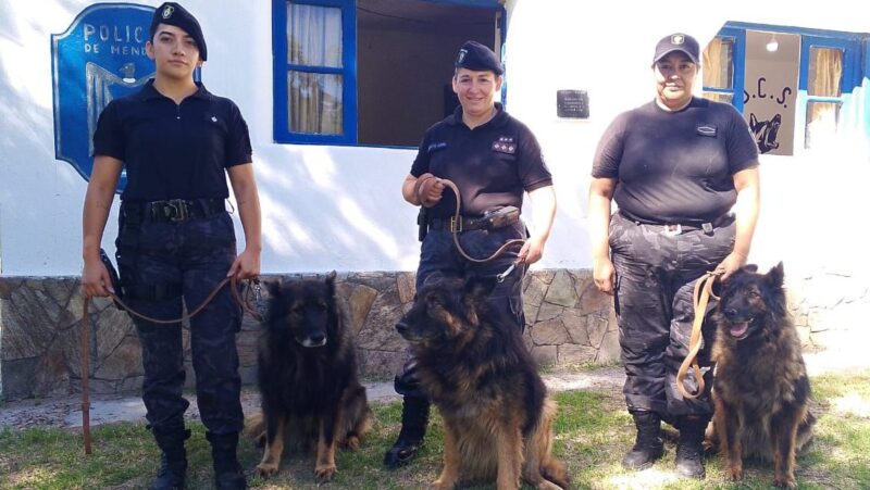 Entre despedidas y nuevas historias: Parker, Polo y Puma cierran su etapa en la fuerza policial