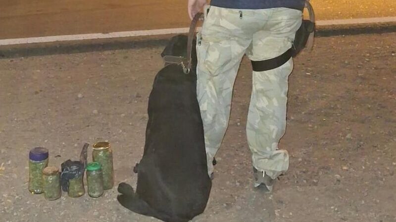 Barak descubrió marihuana en un colectivo en Salto de las Rosas