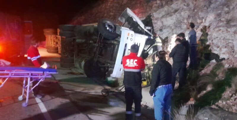Camionero lesionado y cinco equinos muertos en un vuelco