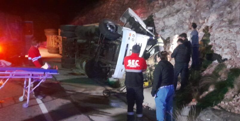 Camionero lesionado y cinco equinos muertos en un vuelco